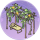 丝瓜架·催青.png