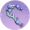 梅枝压襟·寒枝.png