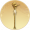 江虎·夺目金手指.png