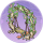 双人秋千·似锦.png