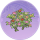 五色丹·青磷.png