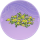 迎春花丛·青磷.png