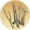 神秘家具钥匙.png