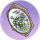 海鱼箱·鸣蝉.png