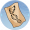 菌子族谱.png