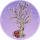 兰树角·枕星.png