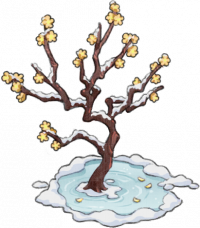 梅树·霜雪
