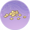 白梅花瓣·雪翎.png