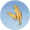 五香稻粮.png