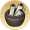 画缸.png