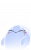 小头像-离魂张燕-魂魂.png