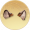 褐斑虎耳.png