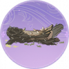 尖刺棘木·珍品.png