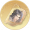 心纸【张绣】.png