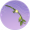 枕翘于藤·贰.png