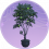 盆栽.png