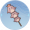 一串圆叽.png