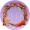 头像框【镜映鸳梦】.png