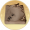 青绡·昔年账本.png