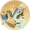 阴文·璃魂.png