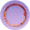 朱梅掩月.png
