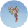 奇花·青磷.png