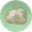 白云岩.png