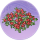 凤仙绮梦·绯霞.png