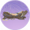 爱心鳞木·珍品.png