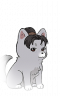 小头像-狗绒绒·青年男.png