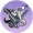 仙鸟引途.png