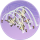 鸢鸟泉·春庭.png