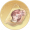 心纸【董白】.png