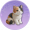 小猫毛毡.png
