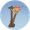 火炬·凡品.png