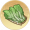 青菜.png