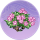 深鹃盛丛·桃春.png