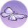 蝶纹地衣·扫尘.png