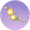 光华灼灼·叁.png