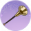 唢呐.png