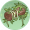 夜街白藤.png
