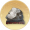 奇纹铁陨.png
