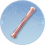 仙骨·南赤.png