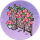 粉粉架·桃春.png