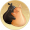 潜龙·永不分梨.png