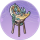 海藻架·雨祈.png