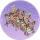 鱼龙灯桥·春庭.png