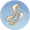 生丝.png