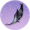 乌夜啼·肆.png