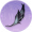 乌夜啼·肆.png